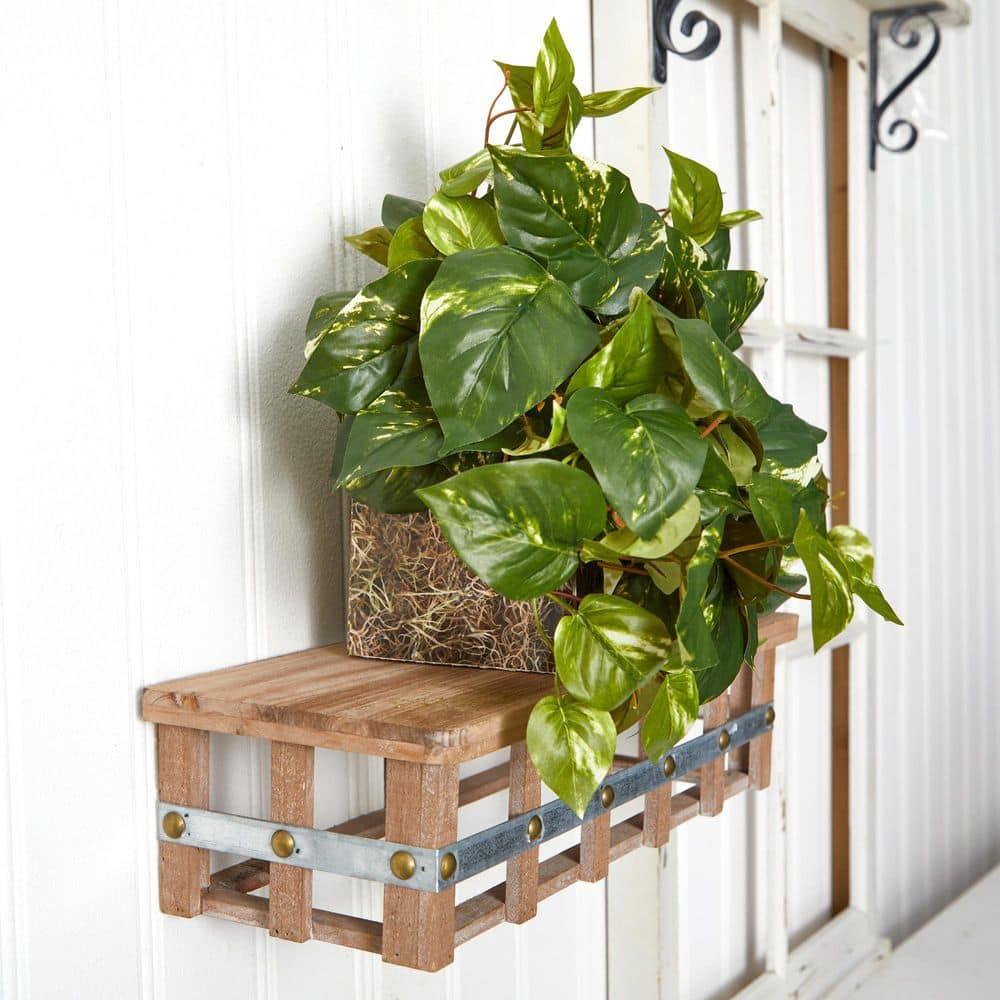 Primrue Pothos Ledge Plant (Set on Foam) Silk Plant