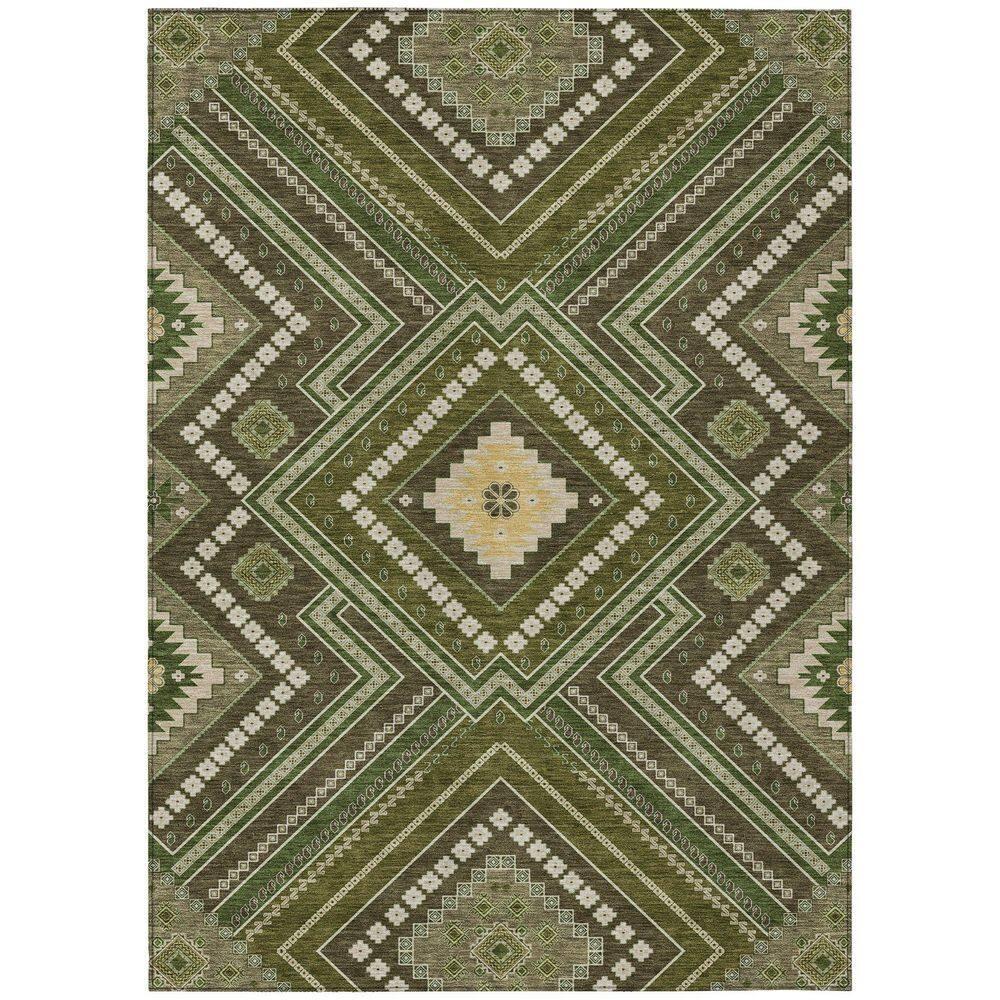 Machine Washable Indoor/Outdoor Chayden ACN1010 Rug
