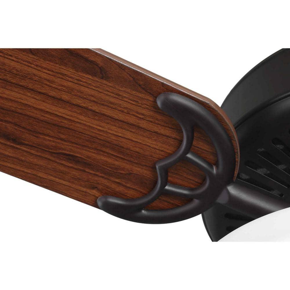 P2599-129-Progress Lighting-Builder Fan - Wide - Ceiling Fan - 2 Light in New Traditional style - 52 Inches wide by 19.13 Inches high-Architectural