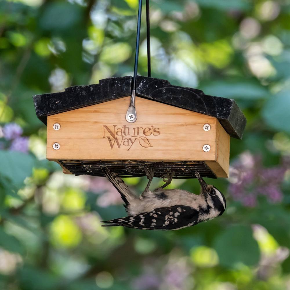 'Nature's Way Cedar Suet Upside-Down Bird Feeder 1 Cake, Brown