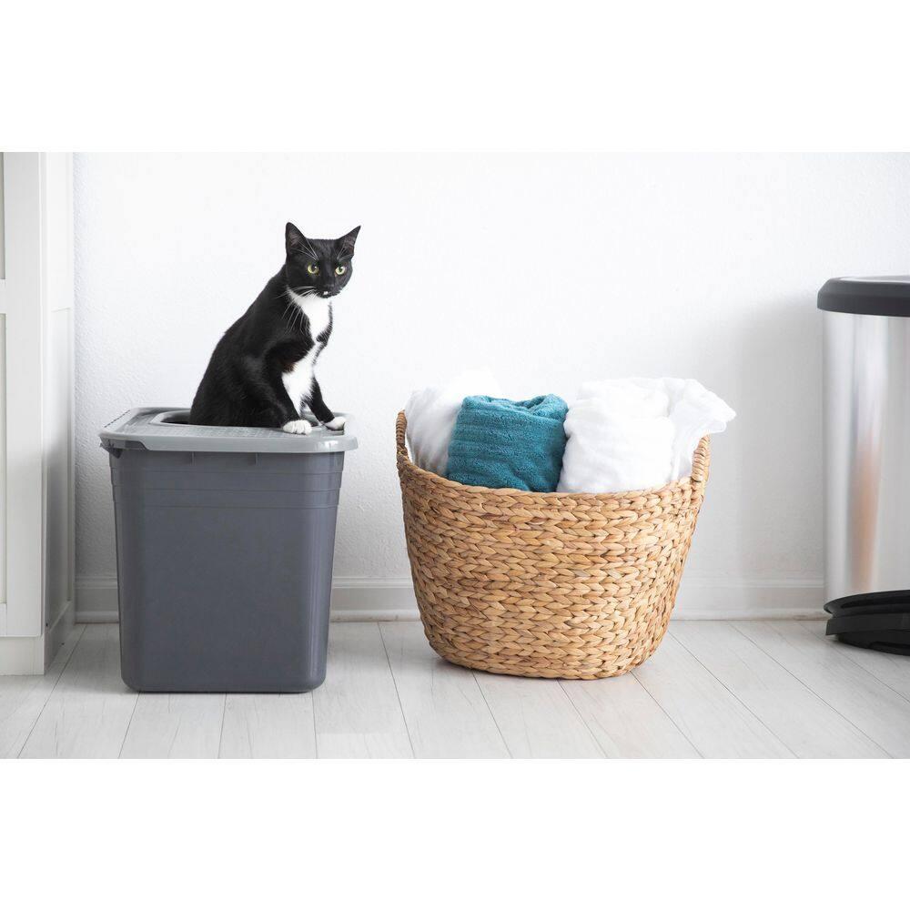 Arm & Hammer® Plastic Enclosed Litter Box