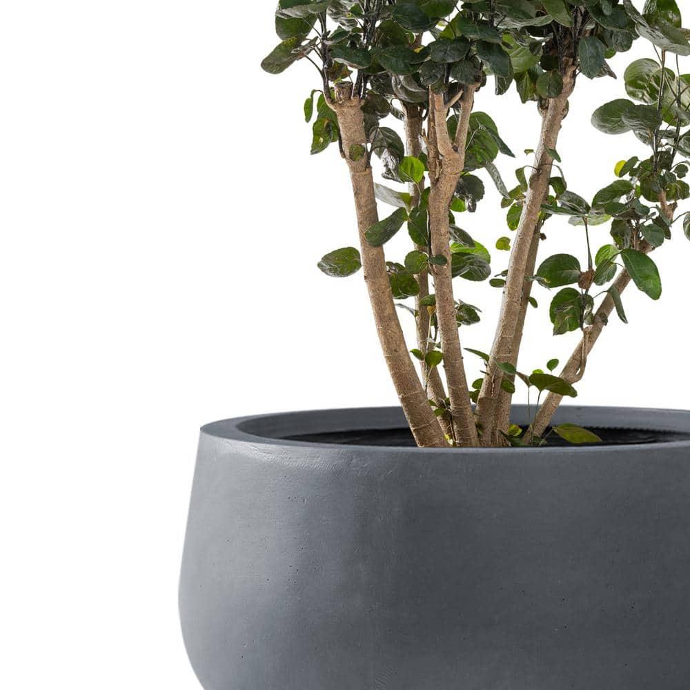 Rosemead Home & Garden 3pc Kante Concrete Outdoor Planter Pots Black 19.6"x19.6"x19.6"