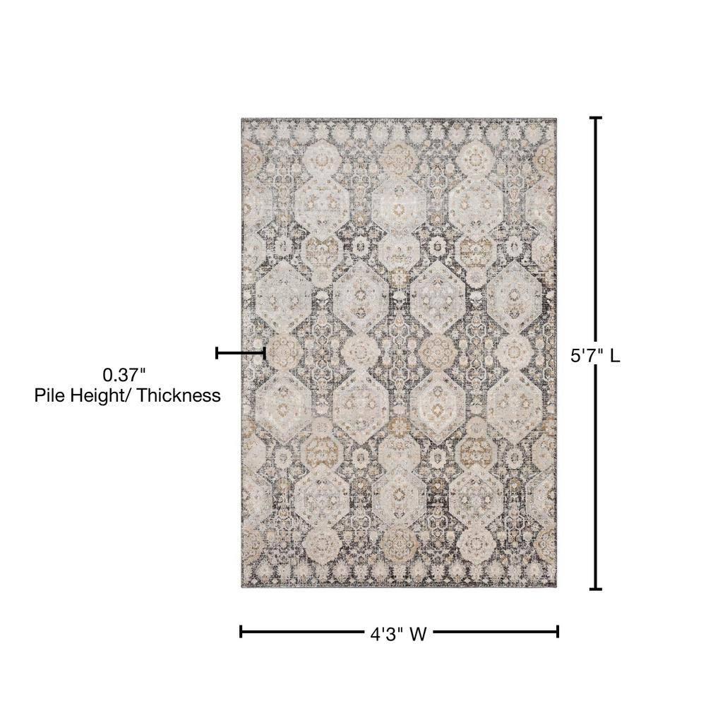 Mark&Day Area Rugs, 4x6 Geelbroek Traditional Black Area Rug (4'3" x 5'7")