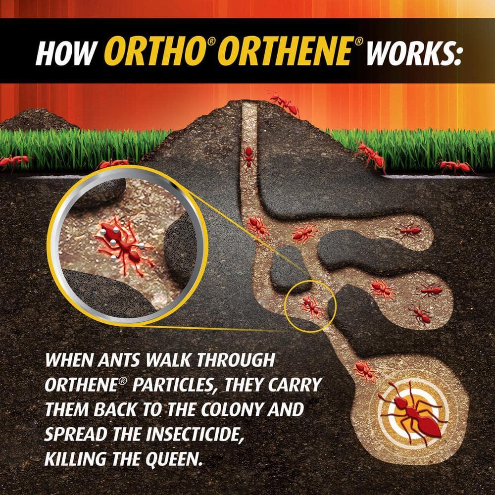 Ortho Orthene Fire Ant Killer 12oz