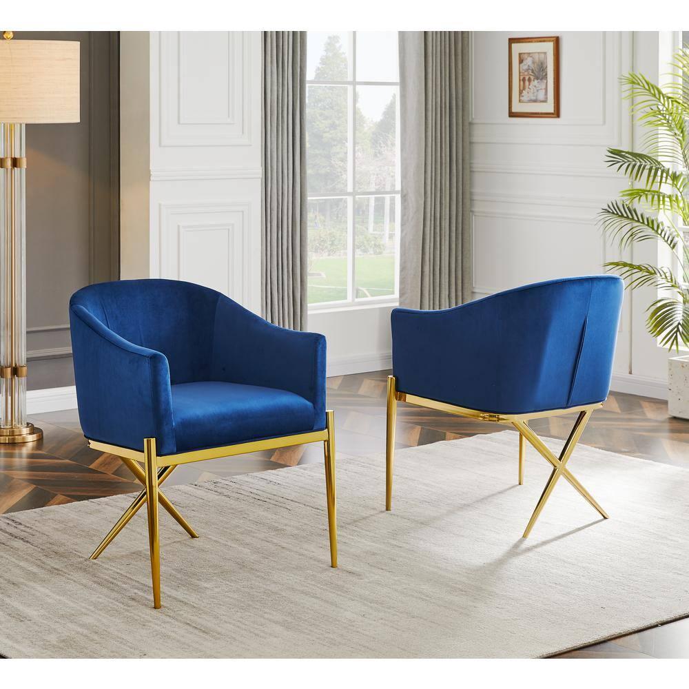 Best Master Dalton Navy Velvet Side Chairs in Gold