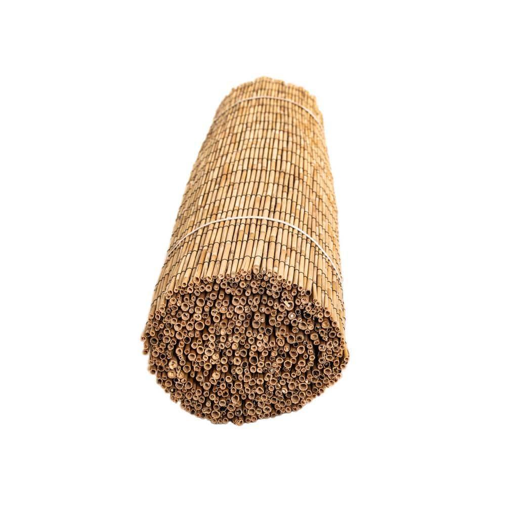 Backyard X-Scapes 6 ft. H x 16 ft. W Natural Jumbo Reed Fence Decorative Garden Fencing Divider