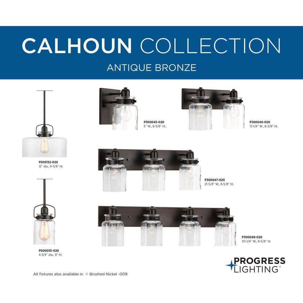 Progress Lighting Calhoun 1-Light Bath & Vanity, Steel, Antique Bronze, Clear Glass Shade