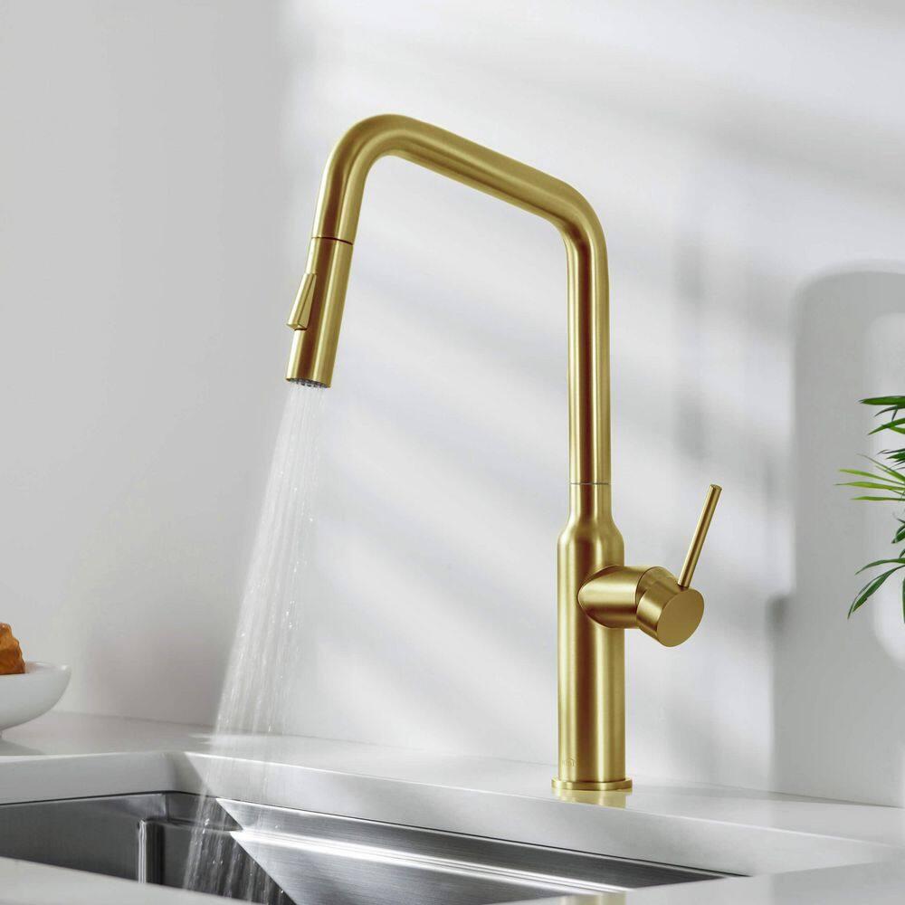 Macon Pull Down Single Handle Kitchen Faucet with Accessories