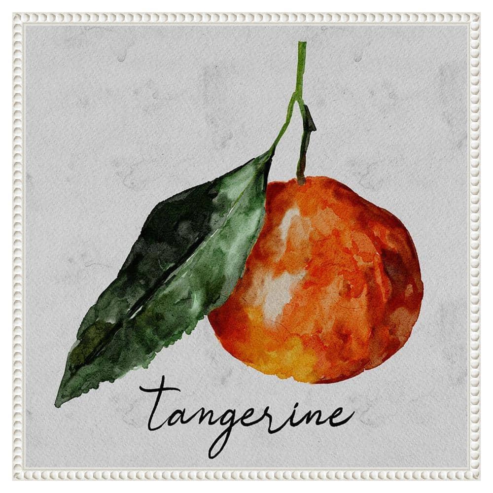 Amanti Art 22"x22" Summertime Citrus III by Regina Moore Framed Canvas Wall Art Print