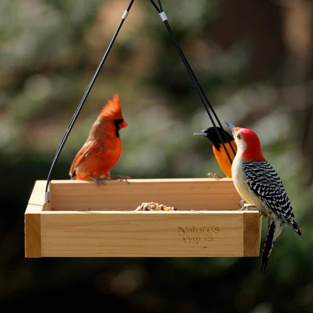 Nature's Way Cedar Tray Bird Feeder: Weather-Resistant Wood, No Assembly, 12x12 Hanging Design