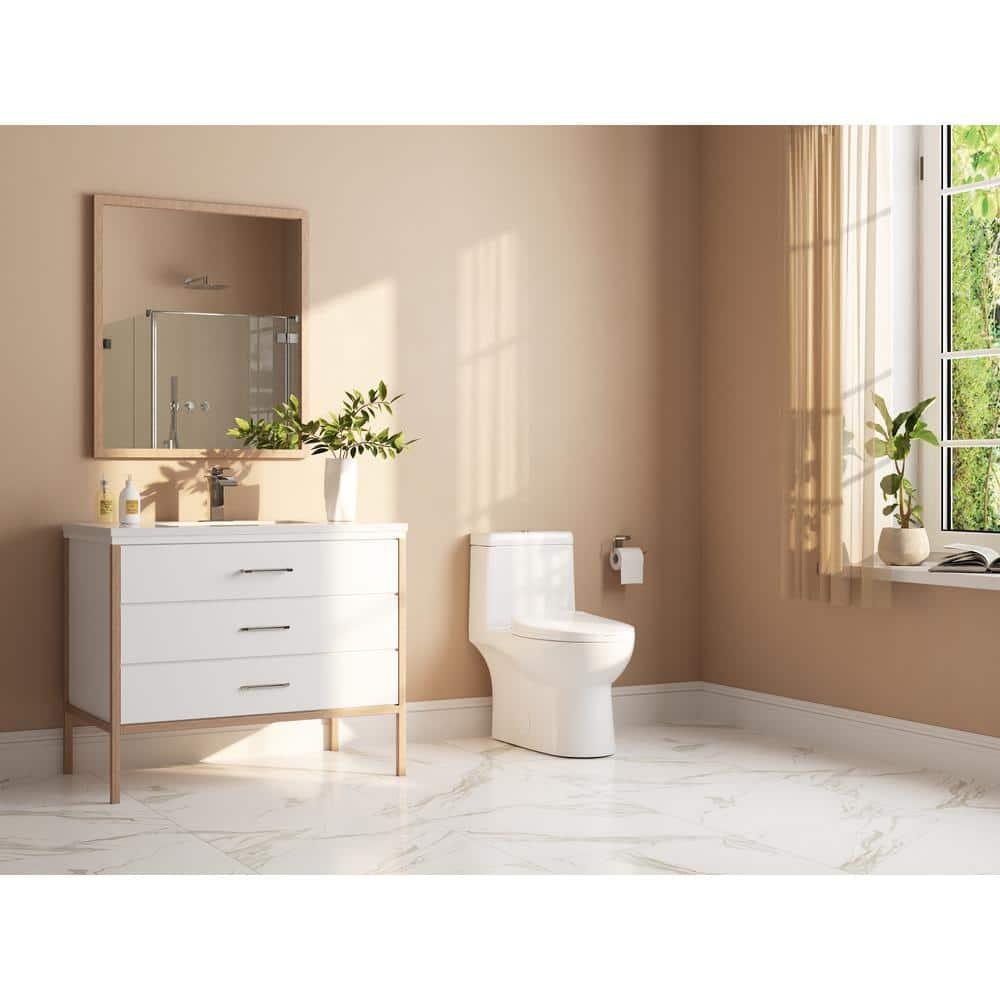 Ally Dual-Flush Elongated One-Piece Toilet with Glazed Surface Modern Toilet with Comfort Seat Height(Seat Included)