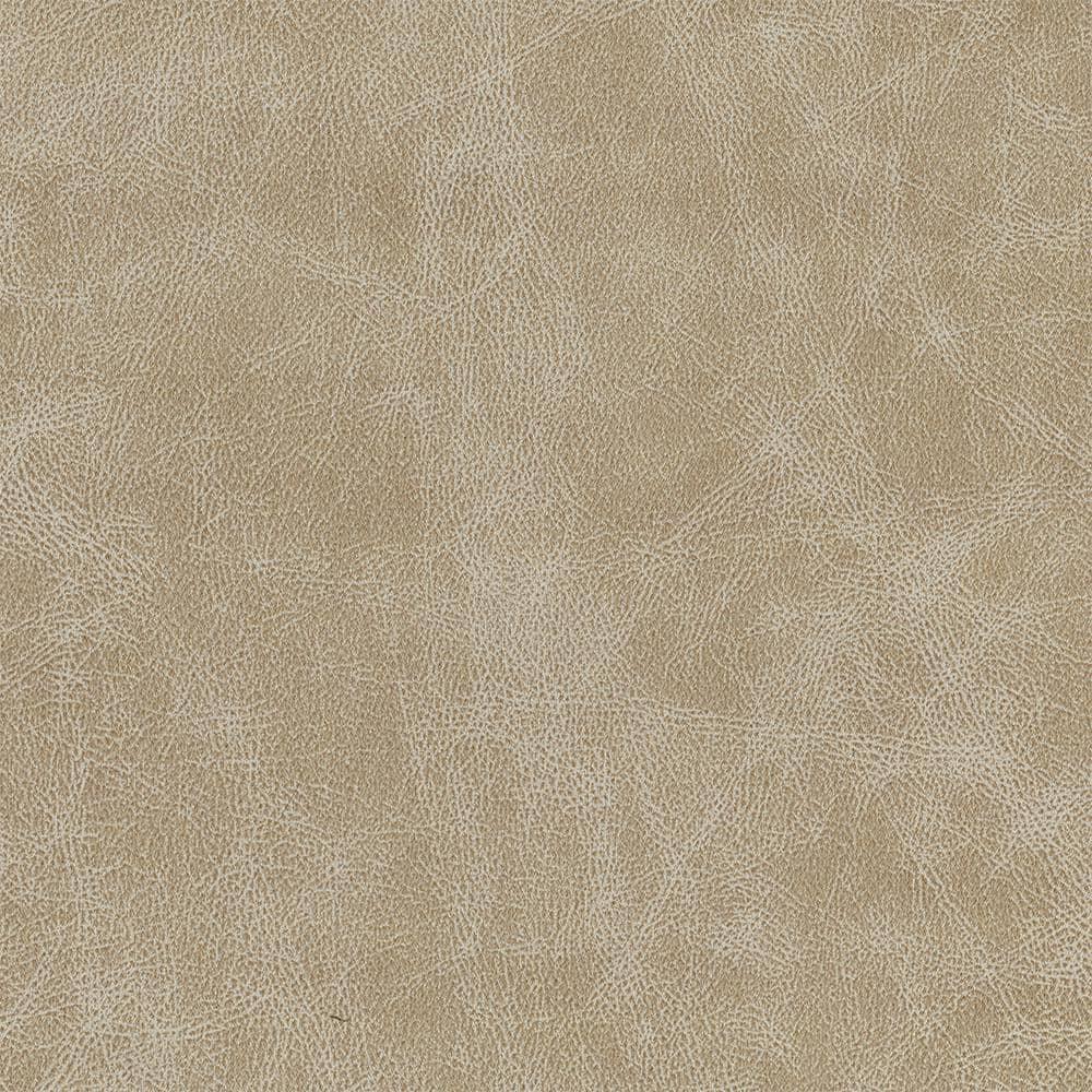 Lexicon Cazon Microfiber Sofa in Sand