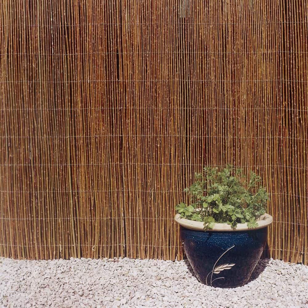Backyard X-Scapes Natural Willow Rolled Panel Fence Decorative Fencing Natural 6' H x 16' L