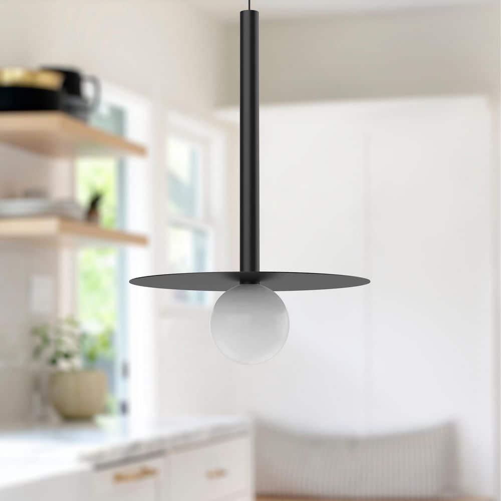 Black Glass LED Indoor/Outdoor Globe Pendant Light