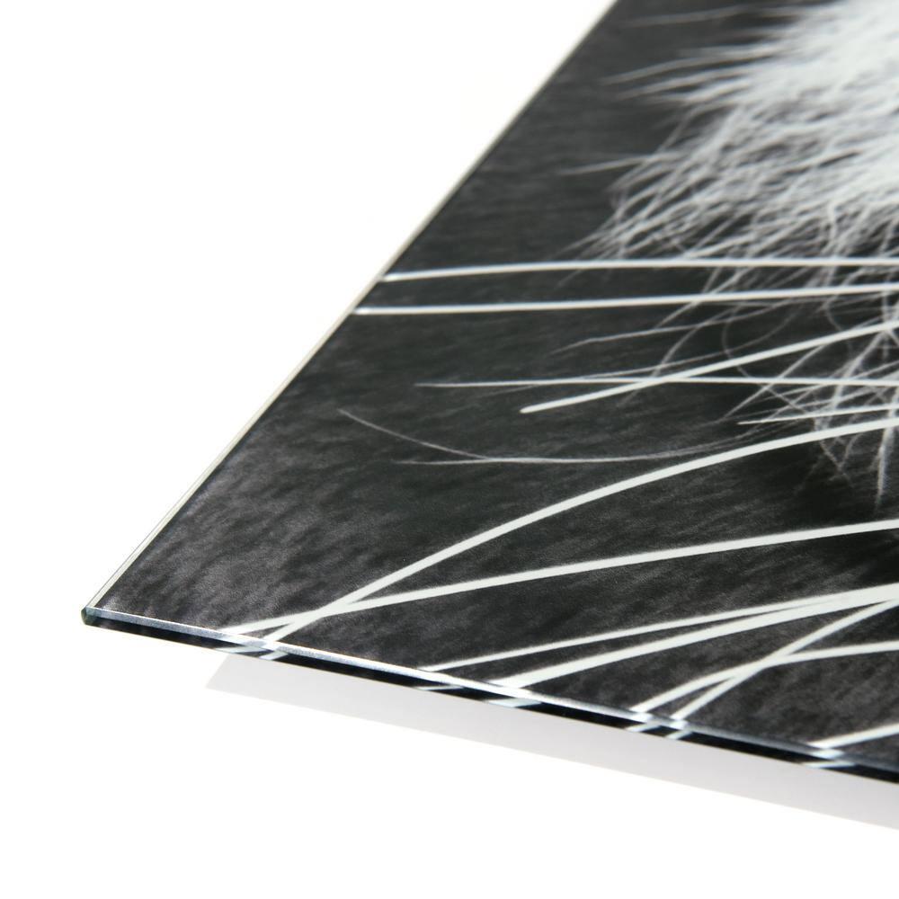 Empire Art Direct " Tiger ABC " 3 - Pieces