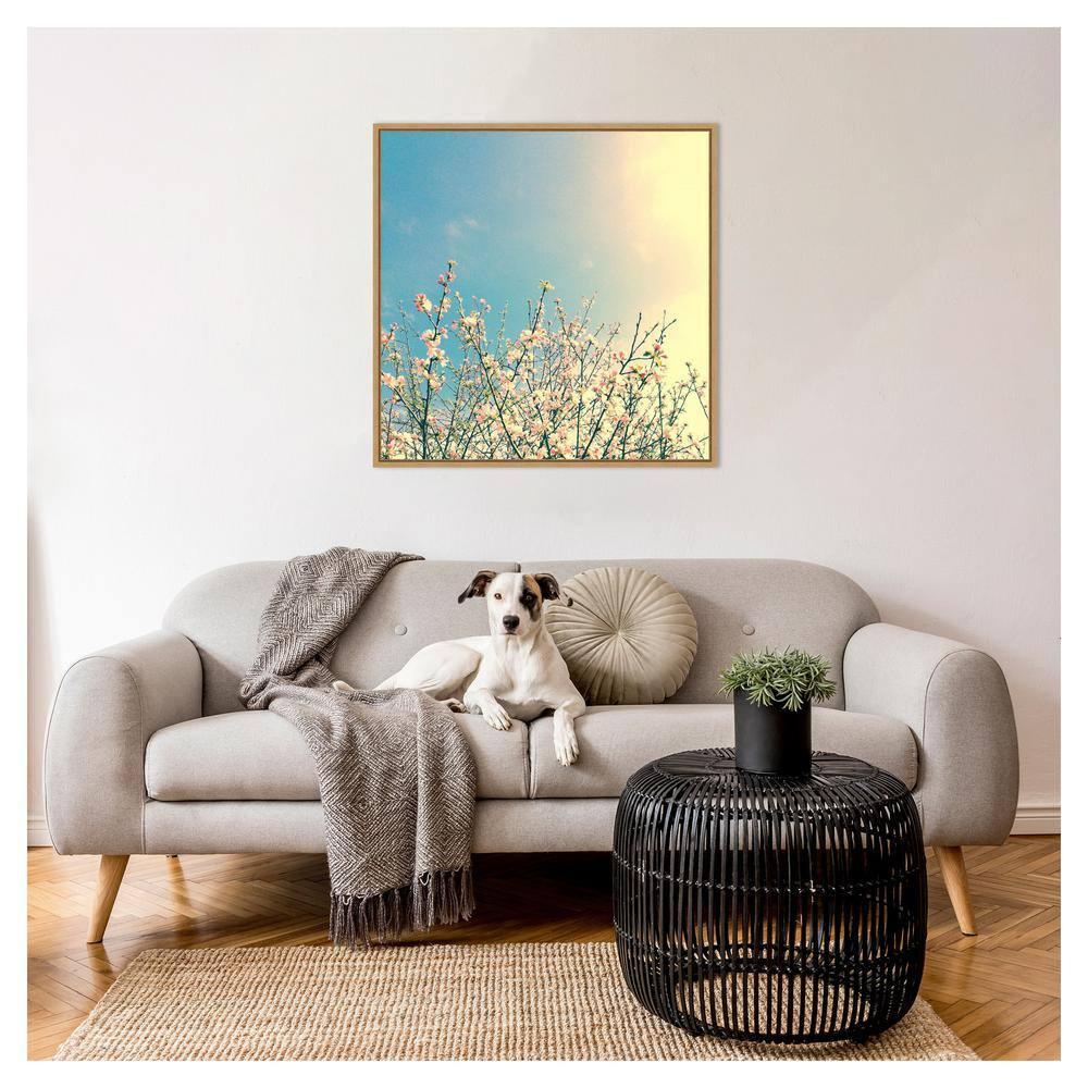 Amanti Art 30"x30" Springing Pink I by Olivia Joy Framed Canvas Wall Art Print