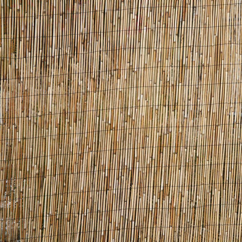 Backyard X-Scapes 6 ft. H x 16 ft. W Natural Jumbo Reed Fence Decorative Garden Fencing Divider