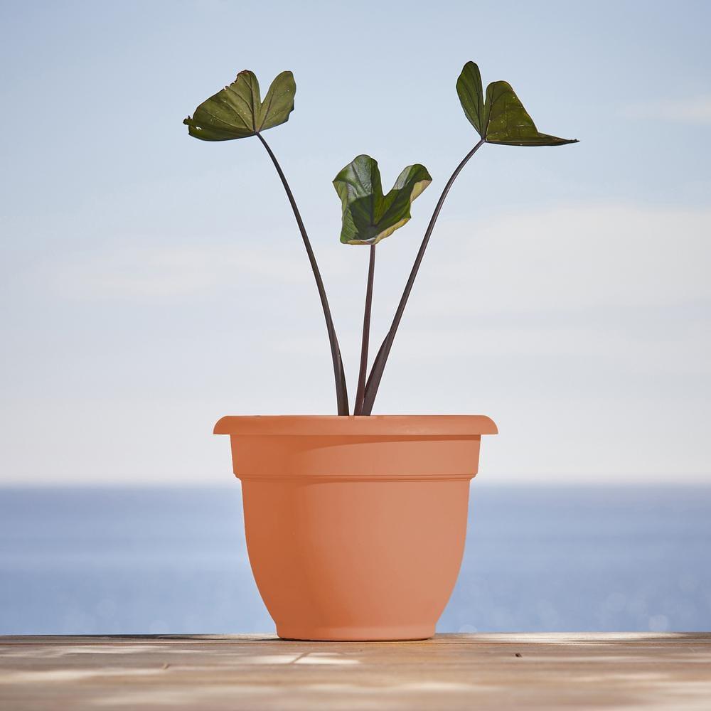 Ariana Planter, Plastic, Self-Watering, Bell Shape, Terra Cotta, 12-In.