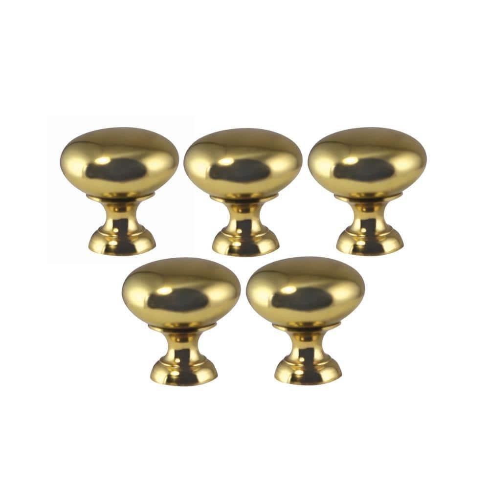Polished Brass Round Cabinet Knob with Mounting Hardware