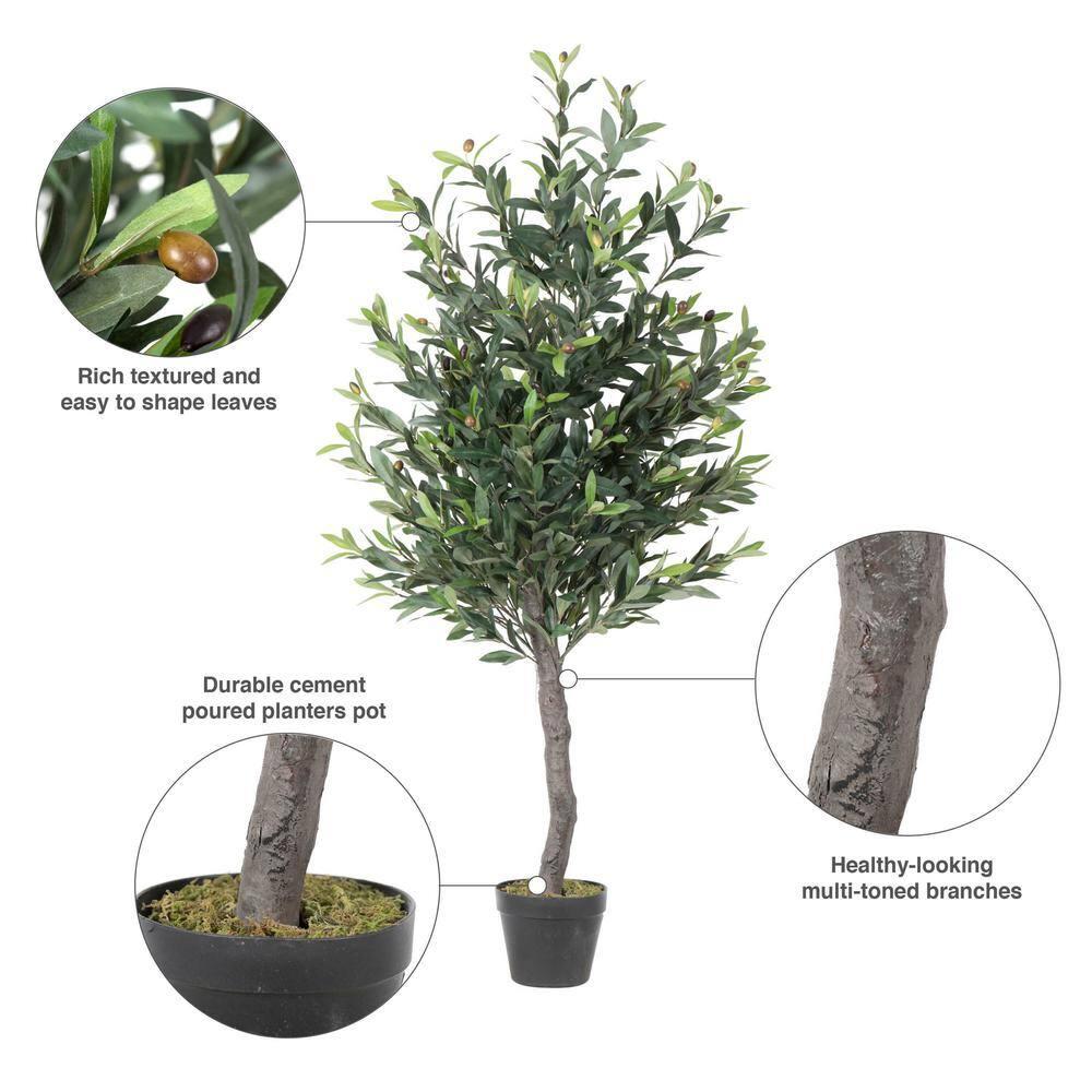 50 in. Green Olive Tree in Pot