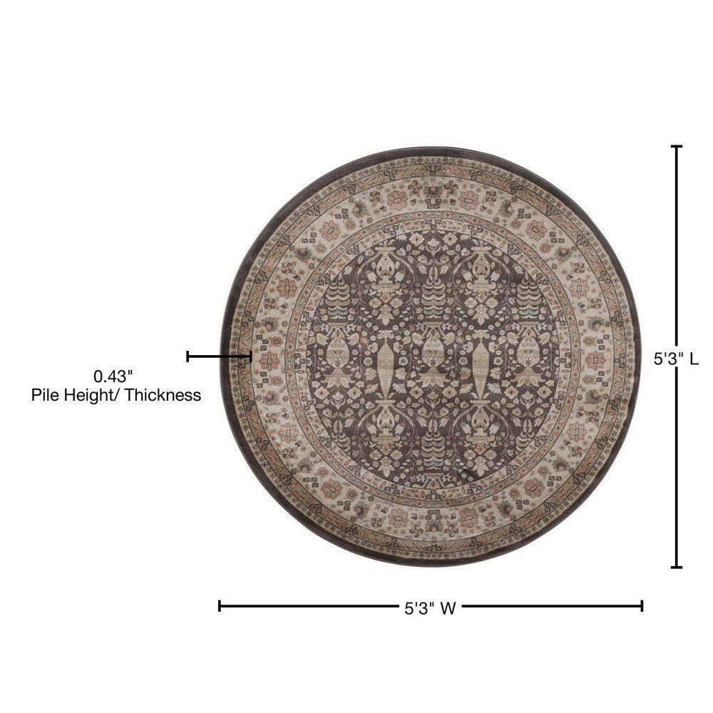 Garda Oriental Indoor Rug