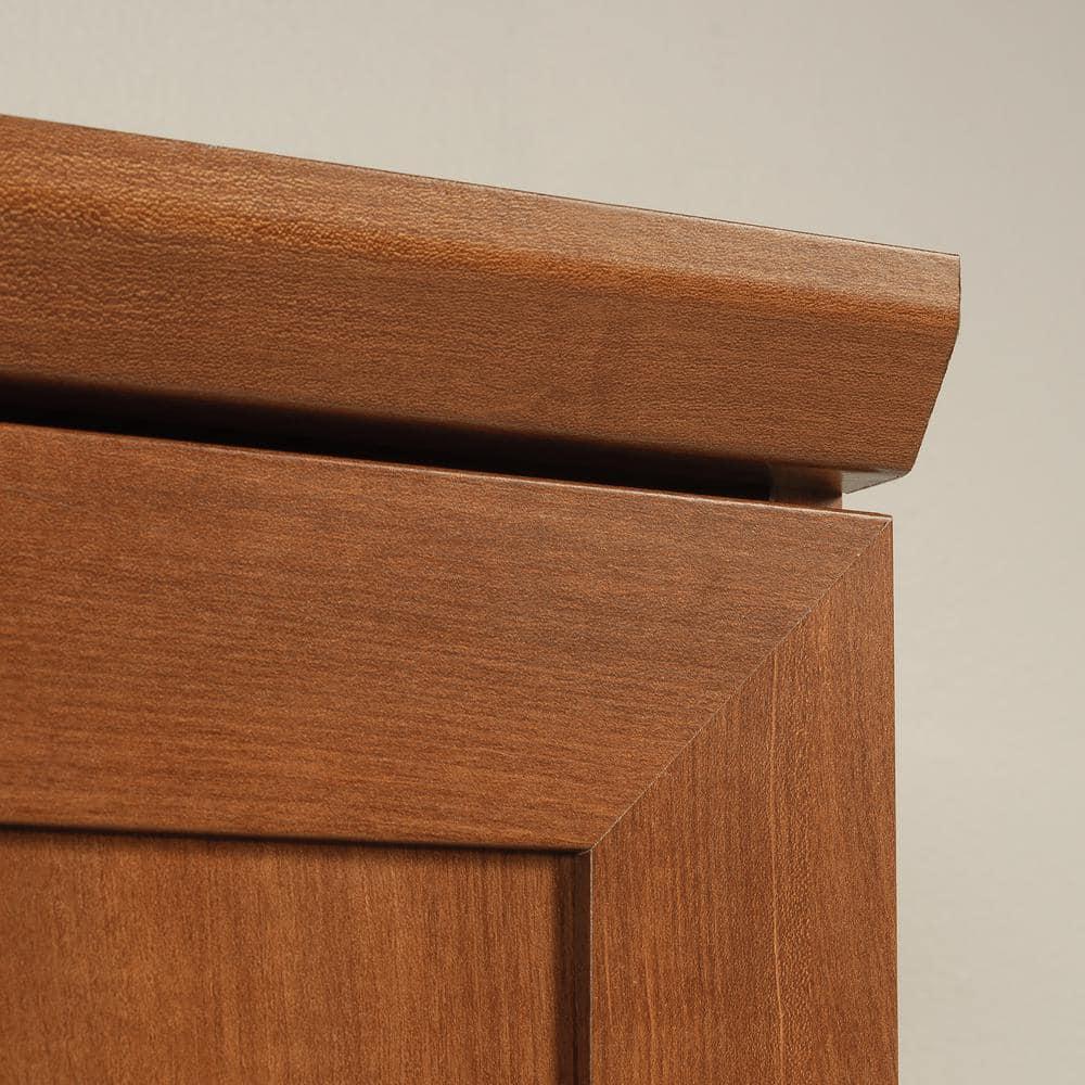 Sauder Homeplus 2 Door Storage Cabinet Sienna Oak