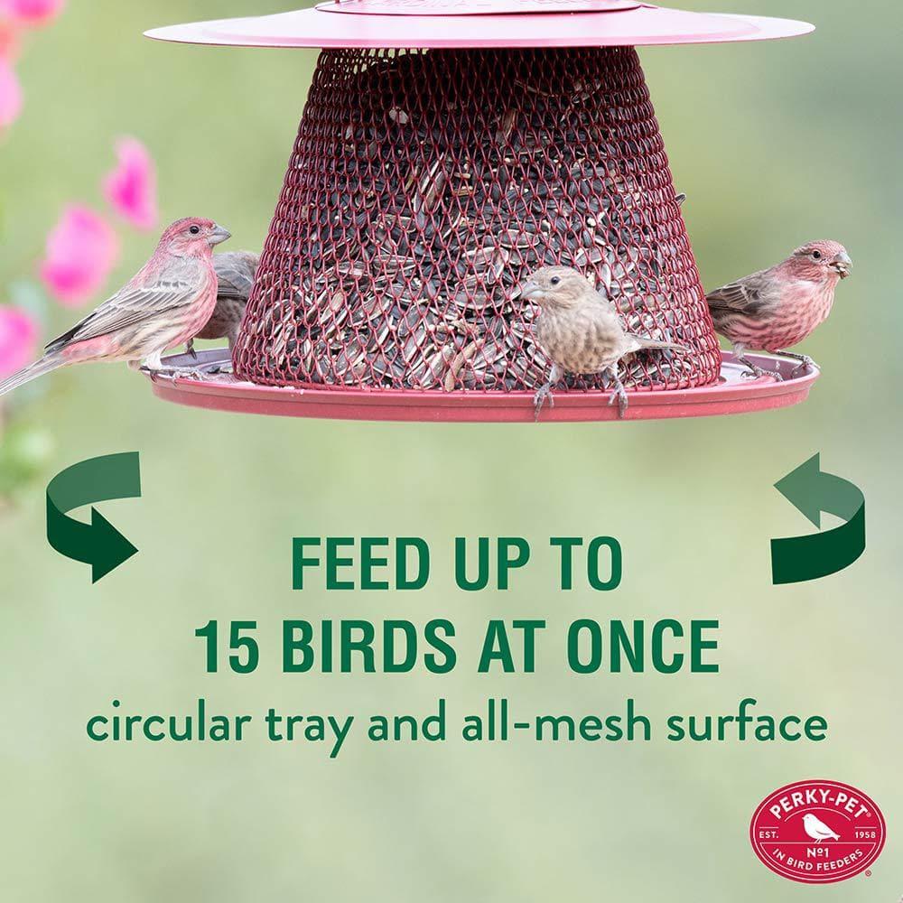 Perky-Pet Red Cardinal Wild Bird Feeder - 2.5 lb Capacity