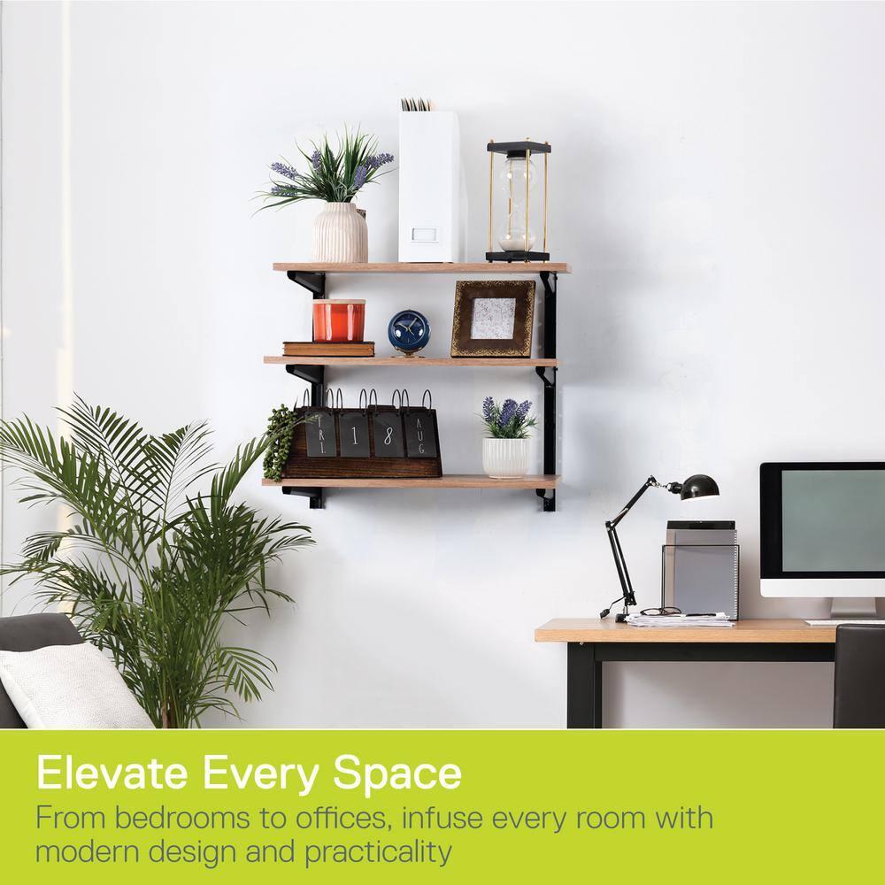 Minimalistic Black Shelf Brackets by Delta Cycle, Set of 6 Fully Adjustable 12-inch Heavy Duty Shelf Brackets, Holds Up to 480 lbs, Modern Shelf Bracket for Wood Shelves