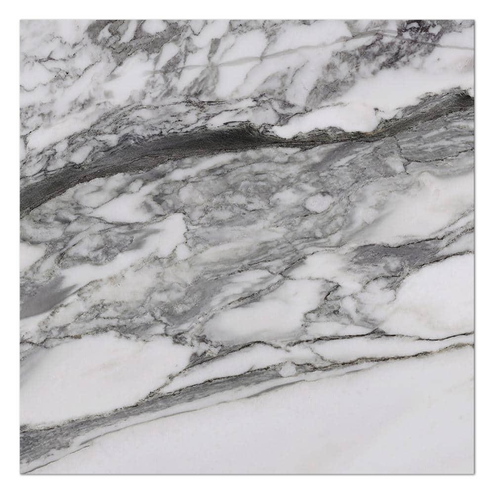 Supreme Tile Senzia Square 7.87 in. x 7.87 in. Matte Porcelain Marble look Floor and Wall Tile