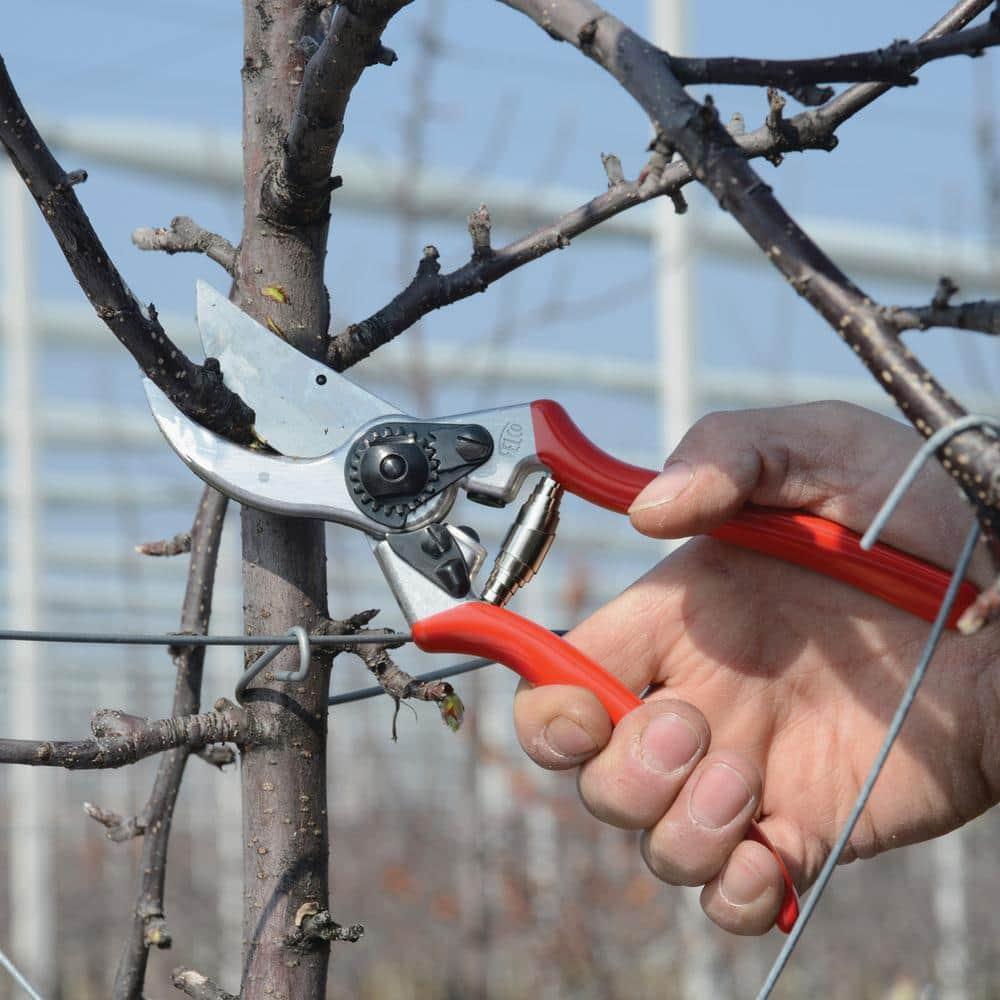 Felco F2 Standard Right Handed Pruning Shears, 8.5"