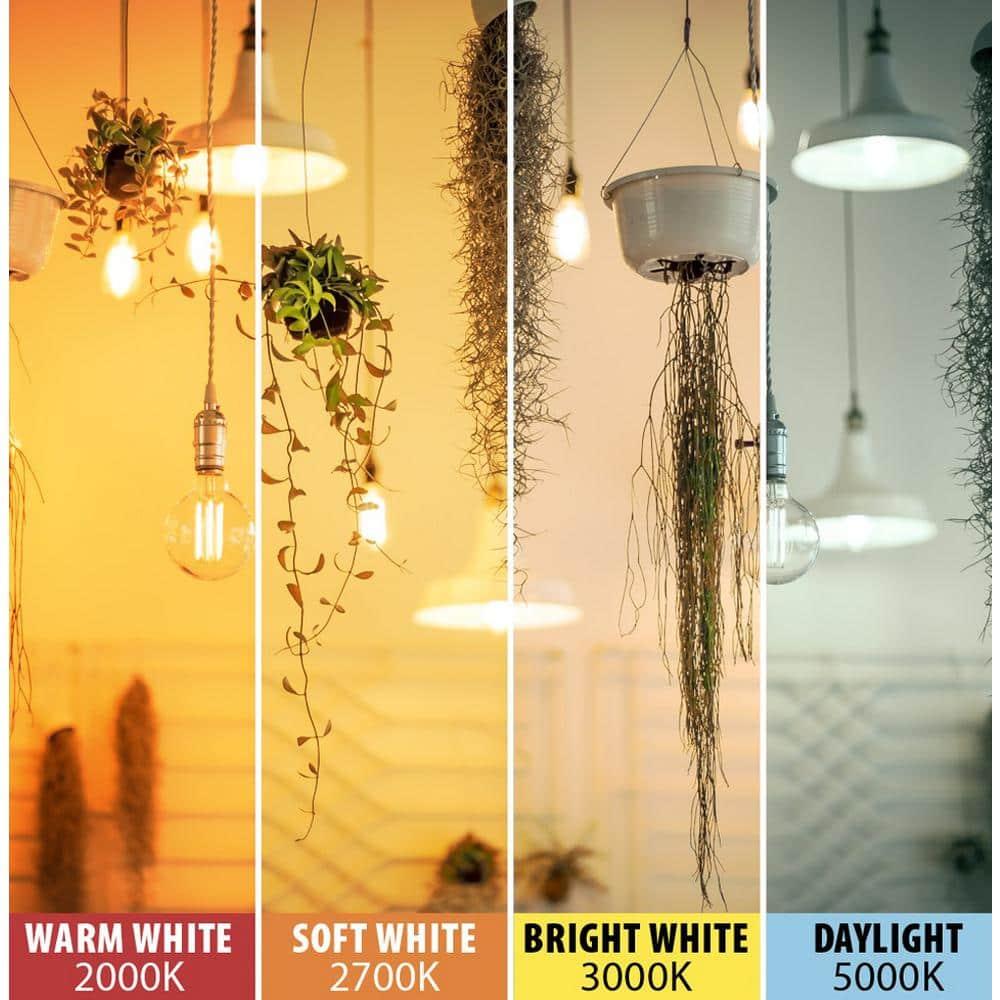 Feit Electric ST52 E26 (Medium) LED Bulb Amber 60 Watt Equivalence 1 pk