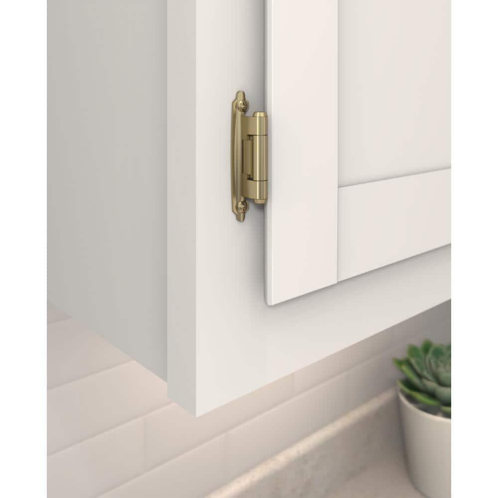 30° Reverse Bevel Overlay Hinge