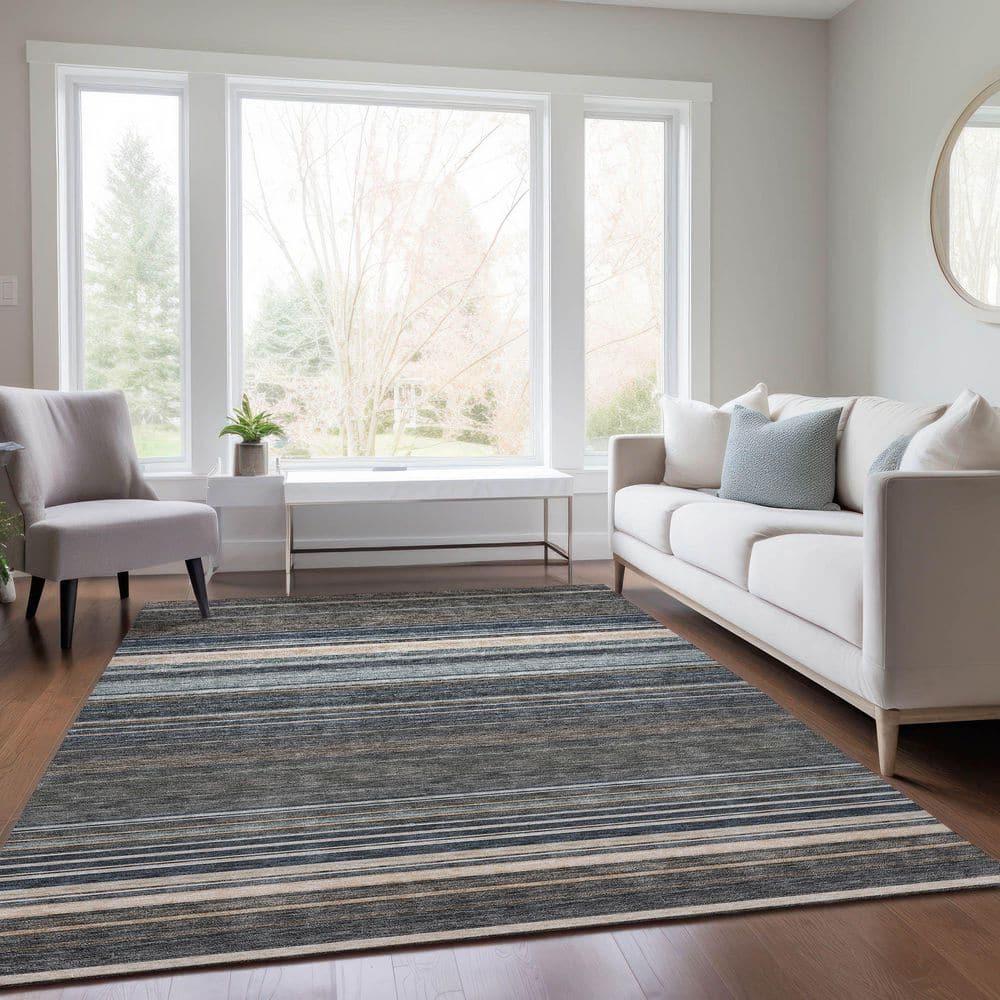 Chayden Washable Striped Indoor / Outdoor Rug