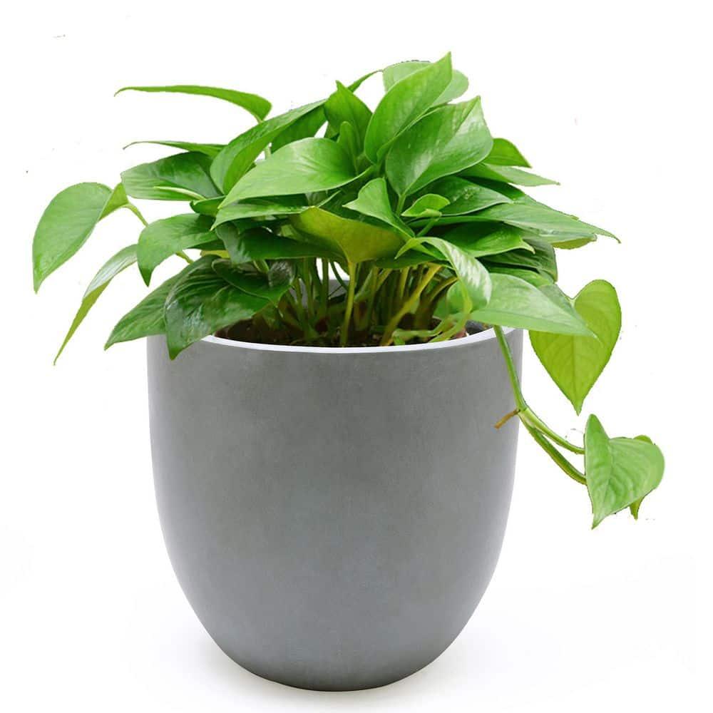 LuxenHome Round Tapered 9.2" H House Planter, Indoor/Outdoor Gray