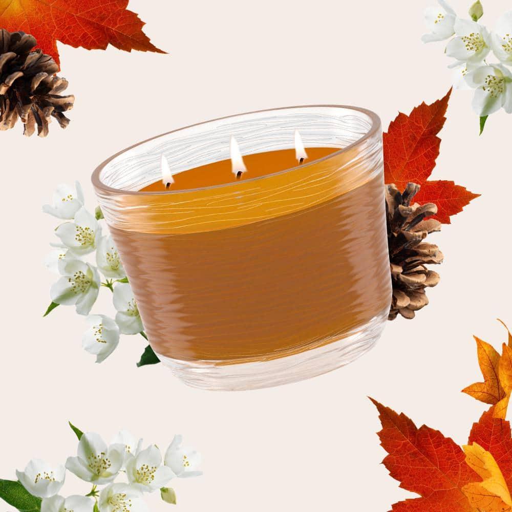 Glade 3 Wick Scented Candles - Cashmere Woods - 6.8oz