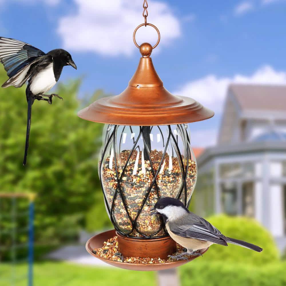 Exhart Exhart Solar Bird Feeder, 8.66 by 14.96 Inches