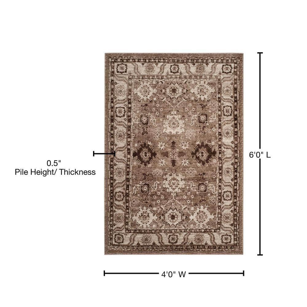 Vintage Hamadan VTH214 Power Loomed Indoor Area Rug - Taupe - 4'x6' - Safavieh