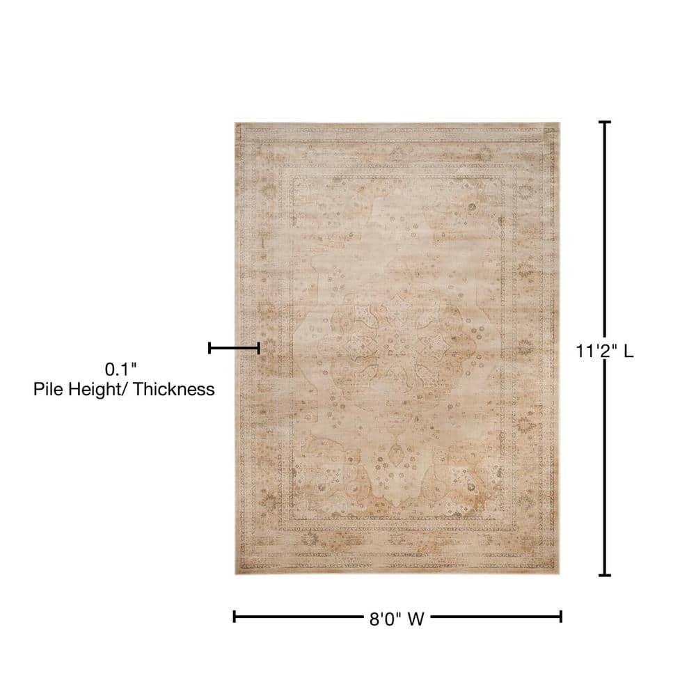 Vintage VTG158 Power Loomed Indoor Area Rug - Creme - 8'x10' - Safavieh.