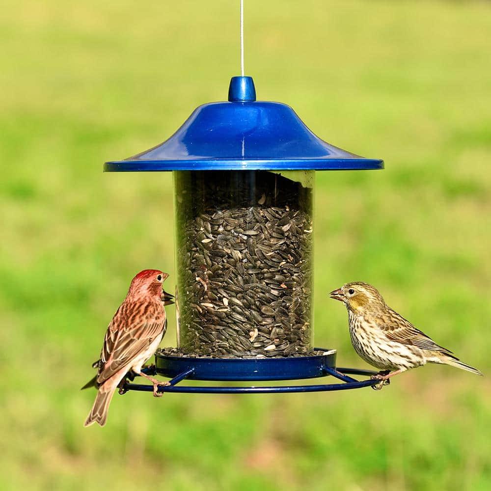 Perky-Pet Wild Bird 2 lb Metal/Plastic Panorama Bird Feeder 1 ports (Case of 2)