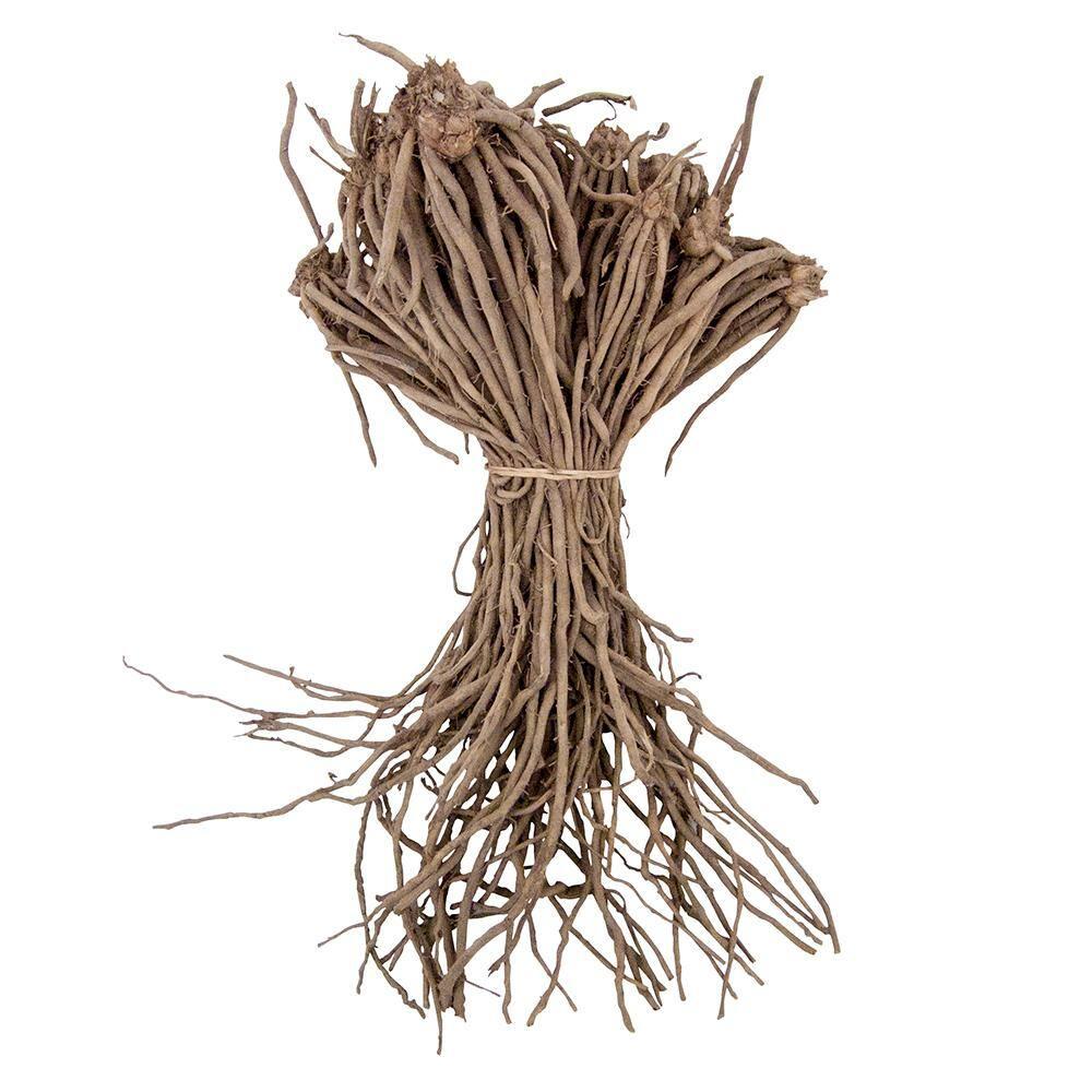 Jersey Giant Asparagus Standard Grade Dormant Bare Root Vegetable Starter Roots (10-Pack)