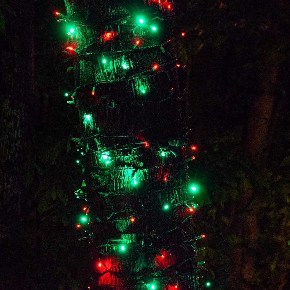 SoftTwinkle LED Red and Green Christmas Mini Twinkle Lights, 50 CT, 17 ft, Green Wire, Connectable