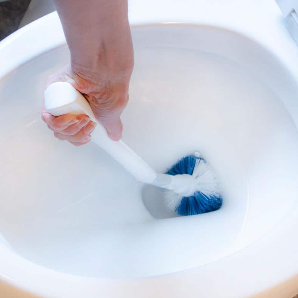 Unger No-Drip Toilet Brush Set  Flexible Neck Toilet Brush with Portable Caddy Holder, Discreet Bathroom Cleaning Brush, Toilet Scrubber, Toilet Bowl Cleaner Brush, Bathroom Cleaning Supplies