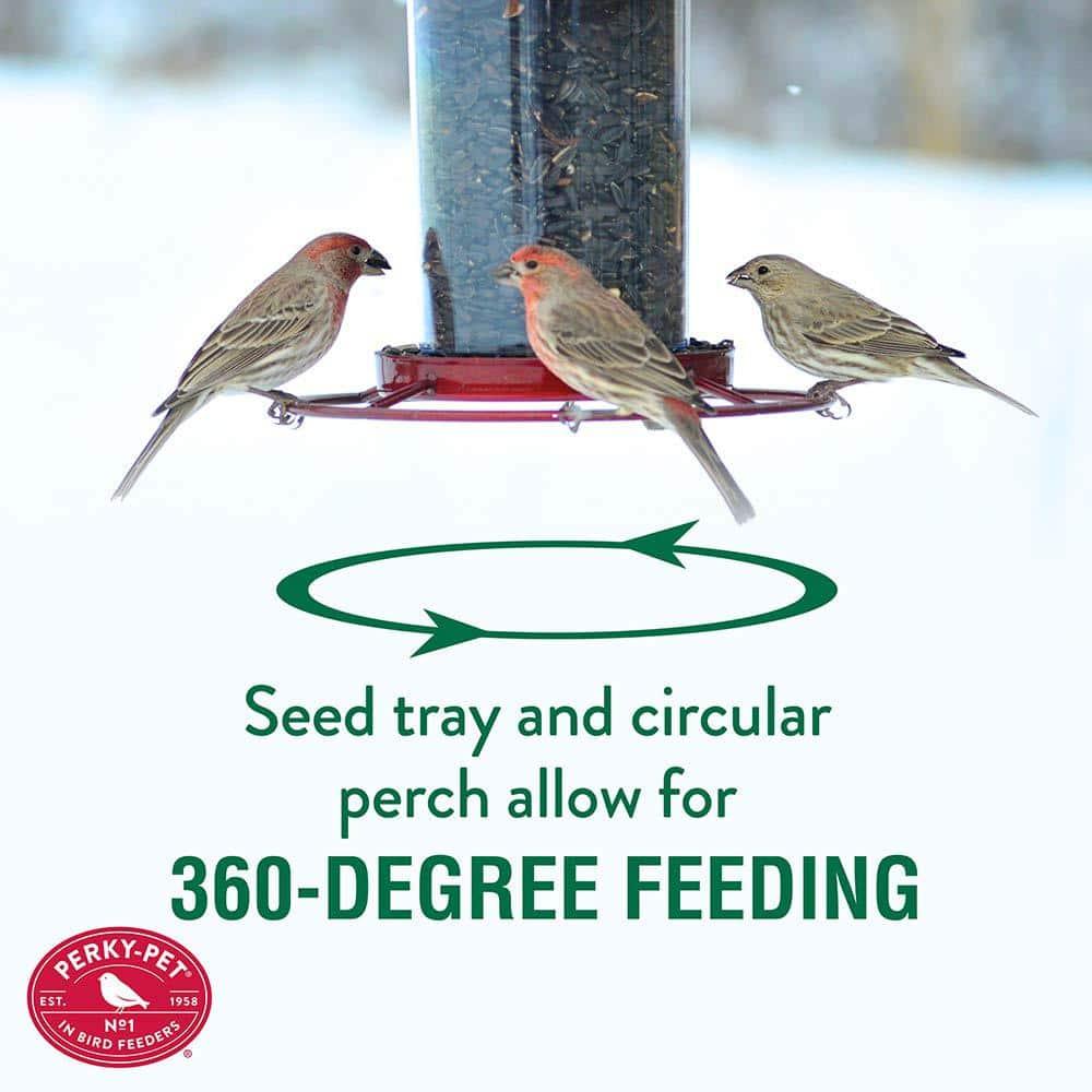 Perky-Pet Wild Bird 2 lb Metal/Plastic Panorama Bird Feeder 1 ports Model No 312R (Case of 2)