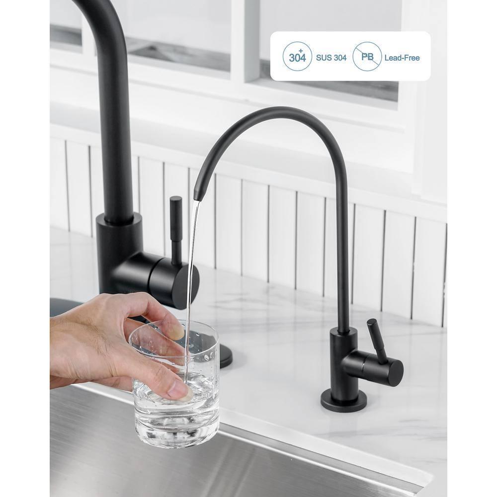 ARCORA ARCORA Stainless Steel Pull-Down Kitchen Faucet and Water Filter Faucet Combo AR7100301B-L