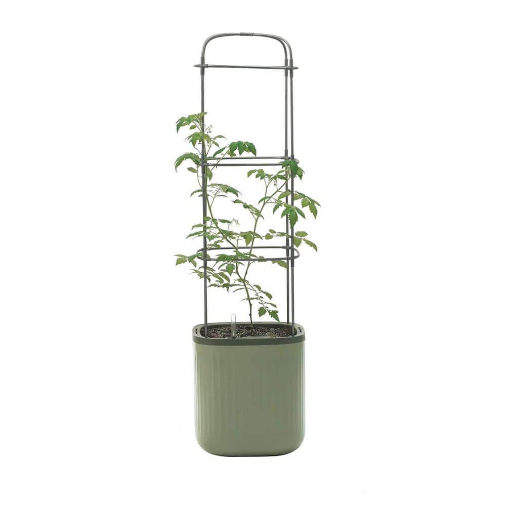 Vego Garden Mini Tomato Plastic Outdoor Pot Planter with Trellis