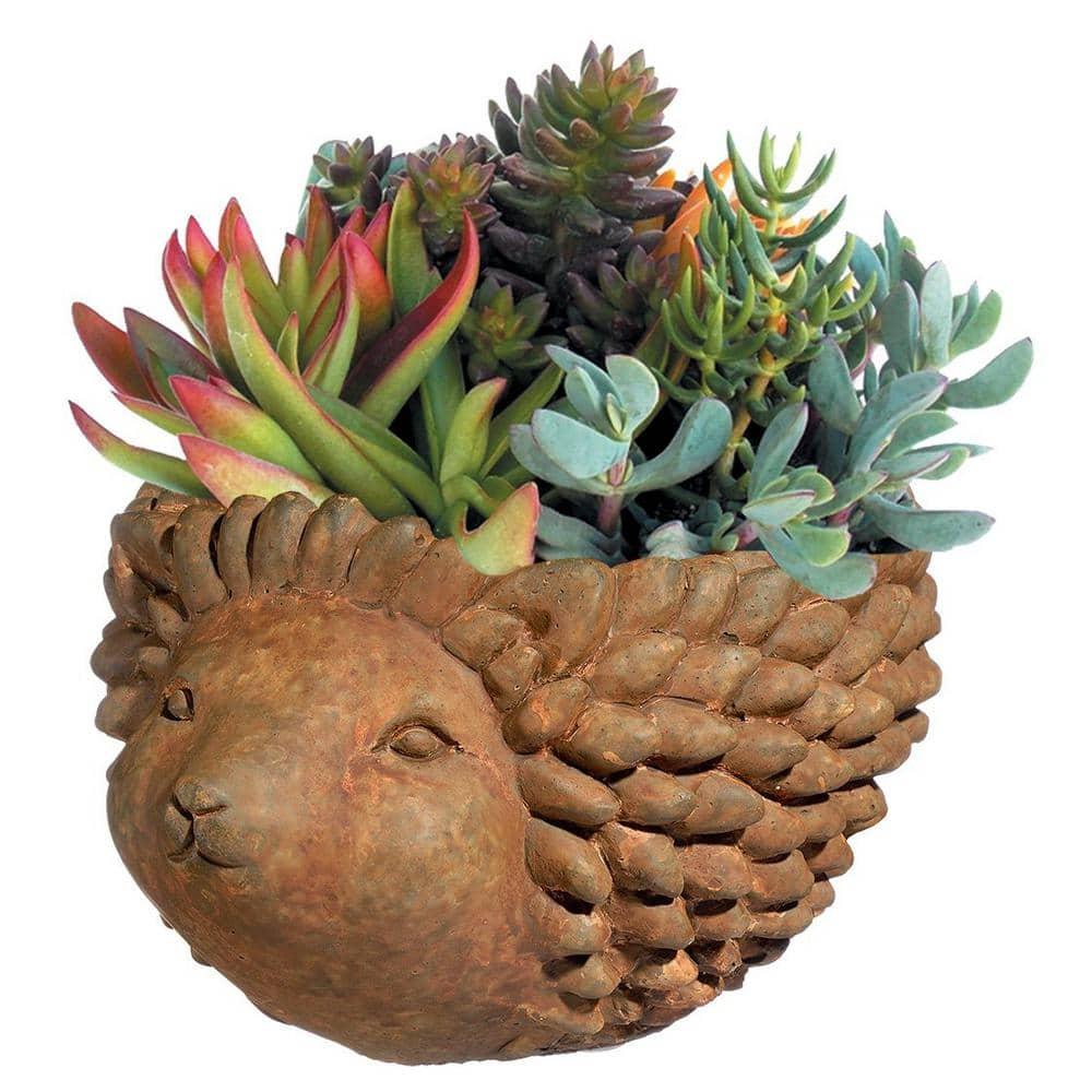 Classic Home and Garden Cement Buddies Indoor/Outdoor Planter with Drainage Hole, Hedgehog, Rust, Large, 7in