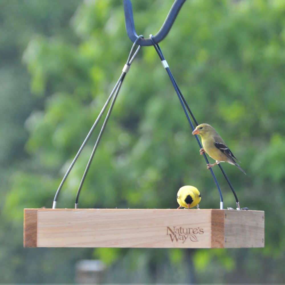 Nature's Way Cedar Tray Bird Feeder: Weather-Resistant Wood, No Assembly, 12x12 Hanging Design