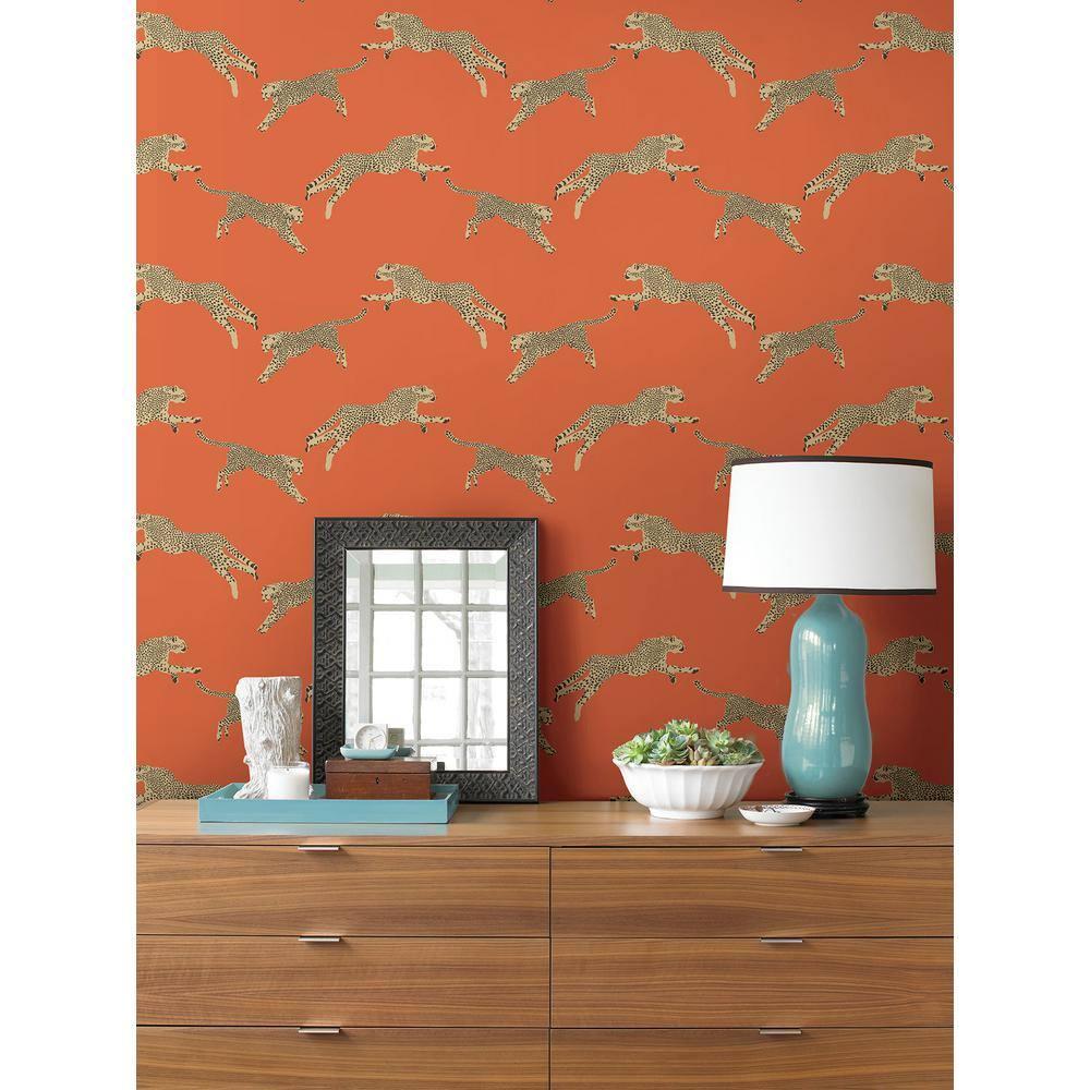 Scalamandre 30.75-sq ft Clementine Vinyl Novelty Self-adhesive Peel and Stick Wallpaper