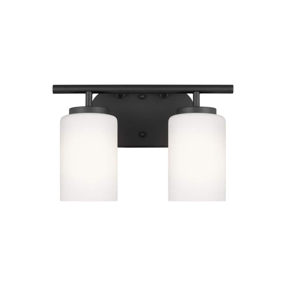 Oslo 12.5 in. 2-Light Midnight Black Transitional Contemporary Bathroom Vanity Light with Cased Opal Etched Glass Shades