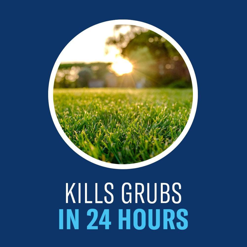 BioAdvanced 24 Hour Grub Killer Plus, Granules, 20 lb, 10,000 Sq Ft
